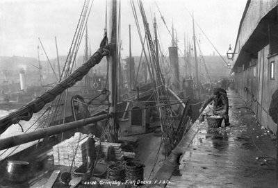 Fish docks, Grimsby, early 20th century by English Photographer